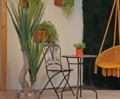 Natural Elegance: Ideas to Incorporate Garden Elements Indoors
