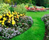 Wonders of the Exterior: Gardening Styles that Fall in Love