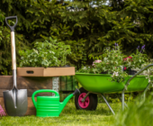 When to Rent, When to Buy Garden Equipment: Tips for a Smart Choice