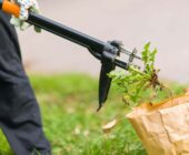 3 Essential Tools for Effective Weeding: Tips to Keep Your Garden Weed-Free