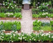 Growing Beauty: Gardening and Decorating Tips for your Home