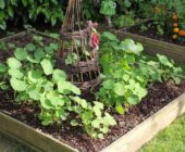 3 Useful Tips to Keep Your Garden Clean All Year: A Shiny and Tidy Space